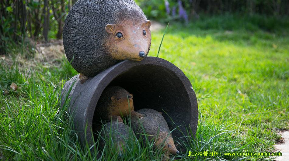 北京枫树家园 园林景观绿化